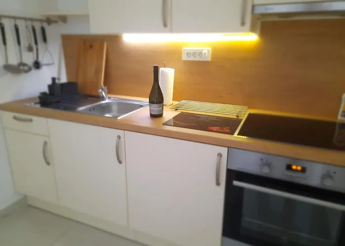 App Nina アパート ポルトローシュ